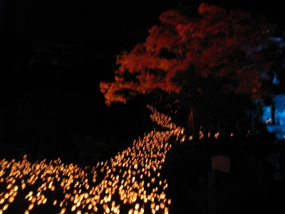 画像02